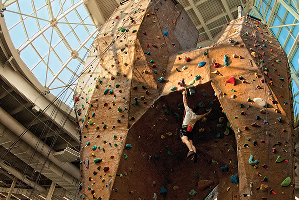 Rock climbing wall at the Pohl Recreation Center