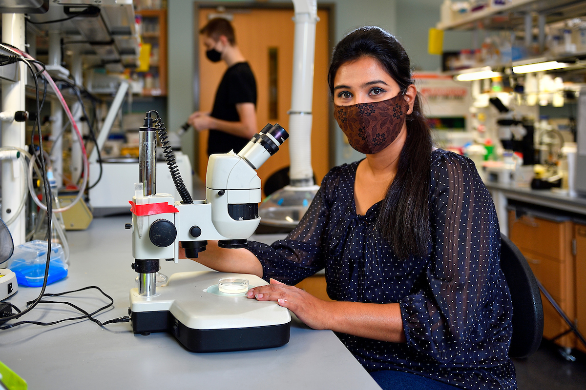 Student using a microscope