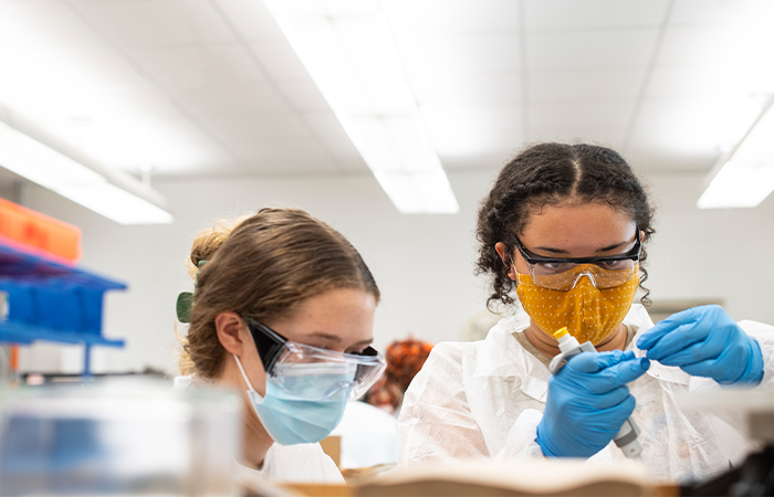 Students working in a lab