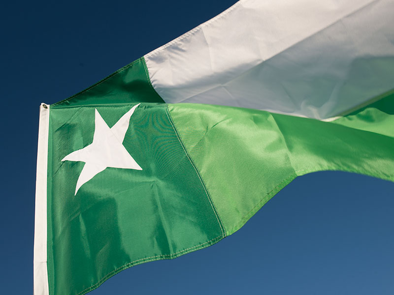 UNT Flag flying