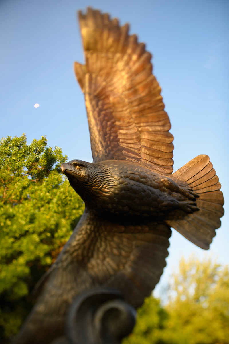 Eagle statue on UNT Denton campus