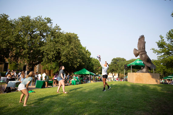 Mean Green Fling