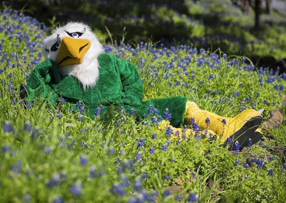 Scrappy the Mascot