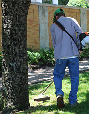 Grounds work on campus