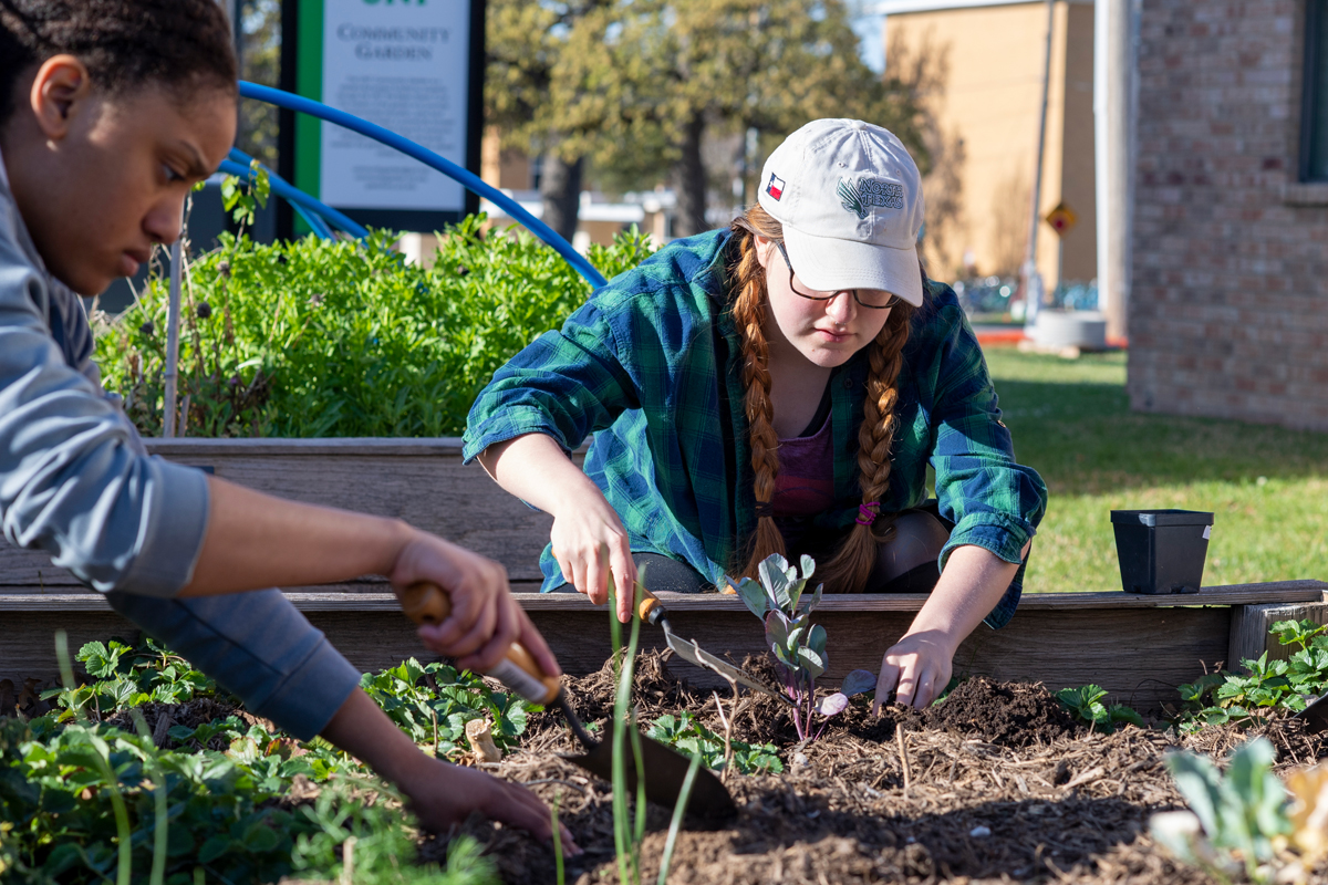 Spiritual Life Gardening